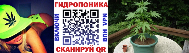 Где продают наркотики Чистополь Каннабис  Меф мяу мяу  Гашиш 