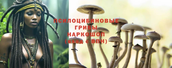 apvp Нея