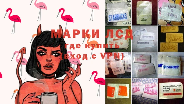 apvp Нея