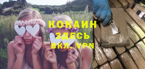 МДПВ Нефтегорск