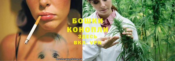 молекула духа Ростов
