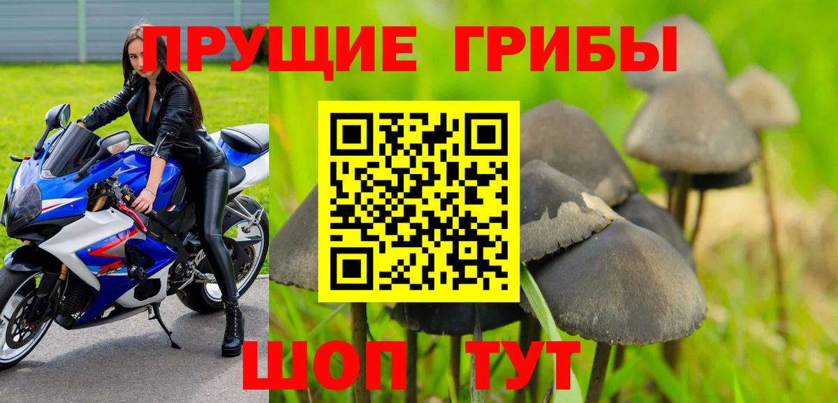 Галлюциногенные грибы Magic Shrooms Чистополь
