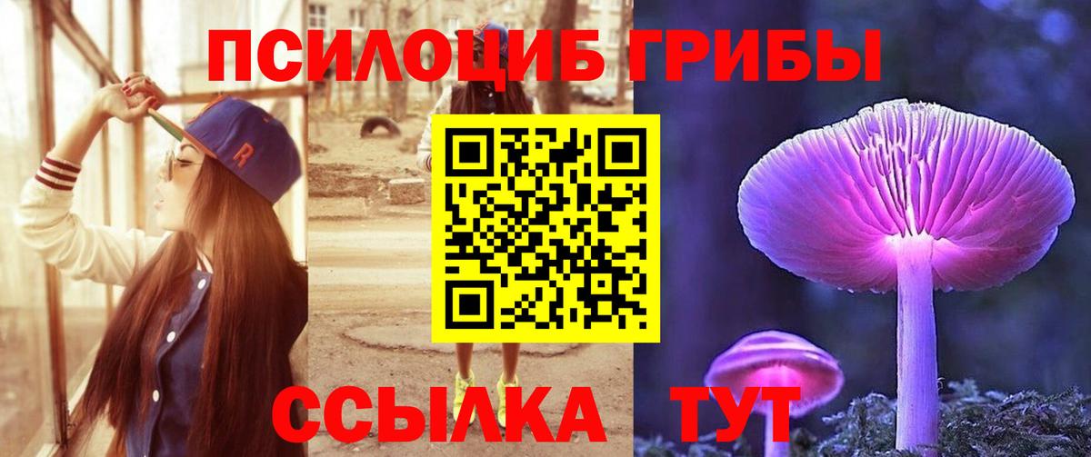Псилоцибиновые грибы Psilocybe  Галлюциногенные грибы MAGIC MUSHROOMS  Чистополь  Вход с VPN 
